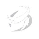 Double Slash skill icon