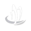Lion Slash skill icon