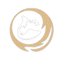 Rolling Torrent skill icon