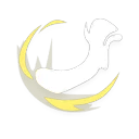 Lightning Kick skill icon