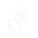 Disc Item variant 2 skill icon