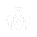 Self Surv skill icon
