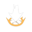Holy Bomb skill icon