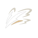 Crazy Claw skill icon