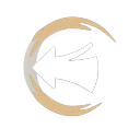 Tunnel Charge skill icon