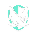 Shielder skill icon